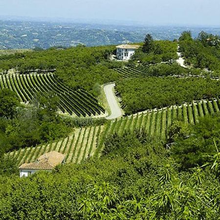 Agriturismo Cascina Anri Mango Ngoại thất bức ảnh