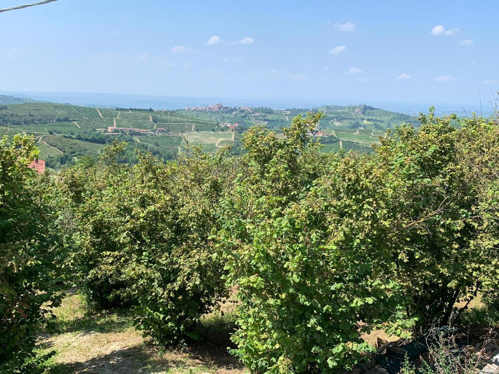 Agriturismo Cascina Anri Mango Ngoại thất bức ảnh