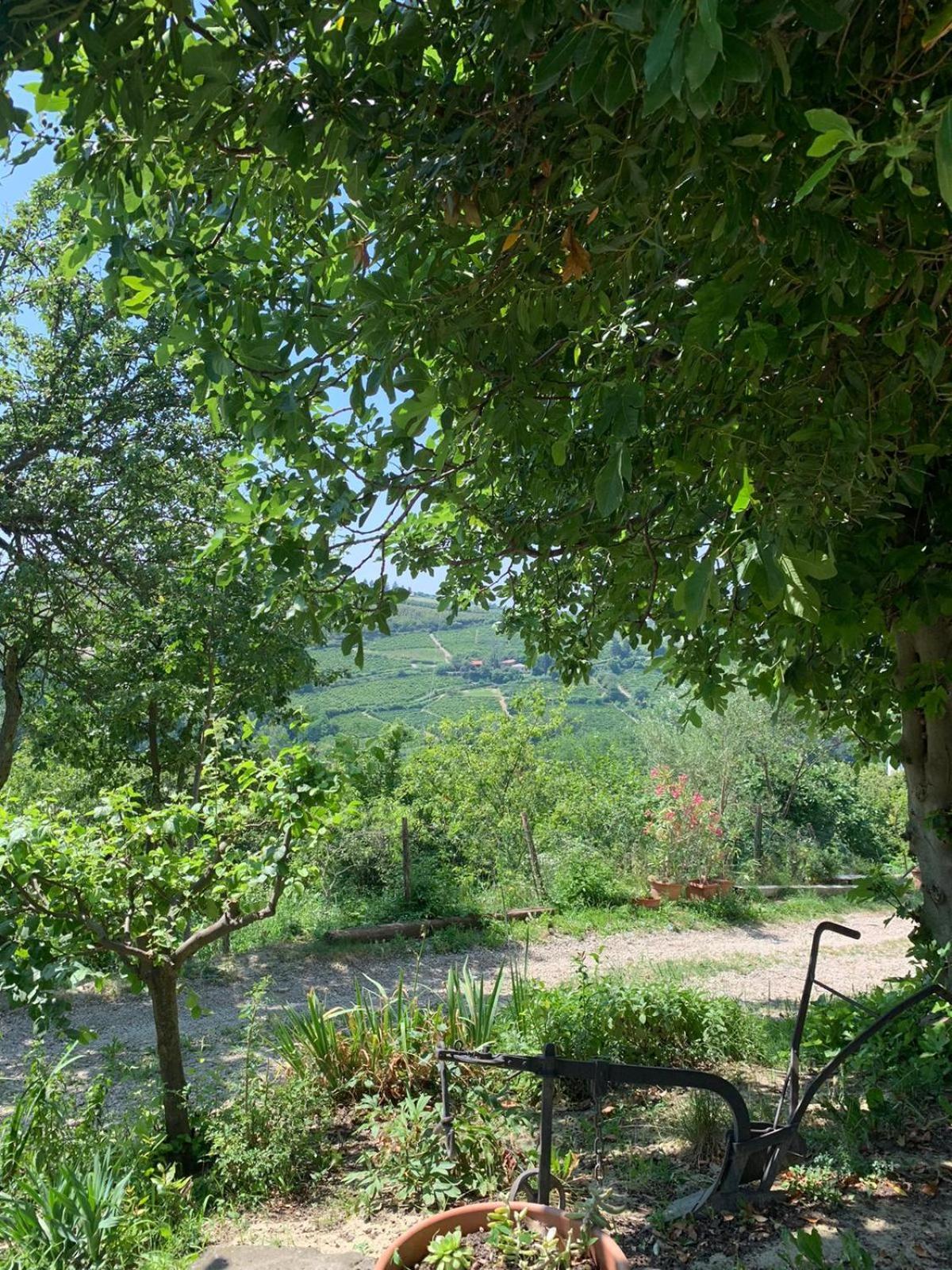 Agriturismo Cascina Anri Mango Ngoại thất bức ảnh